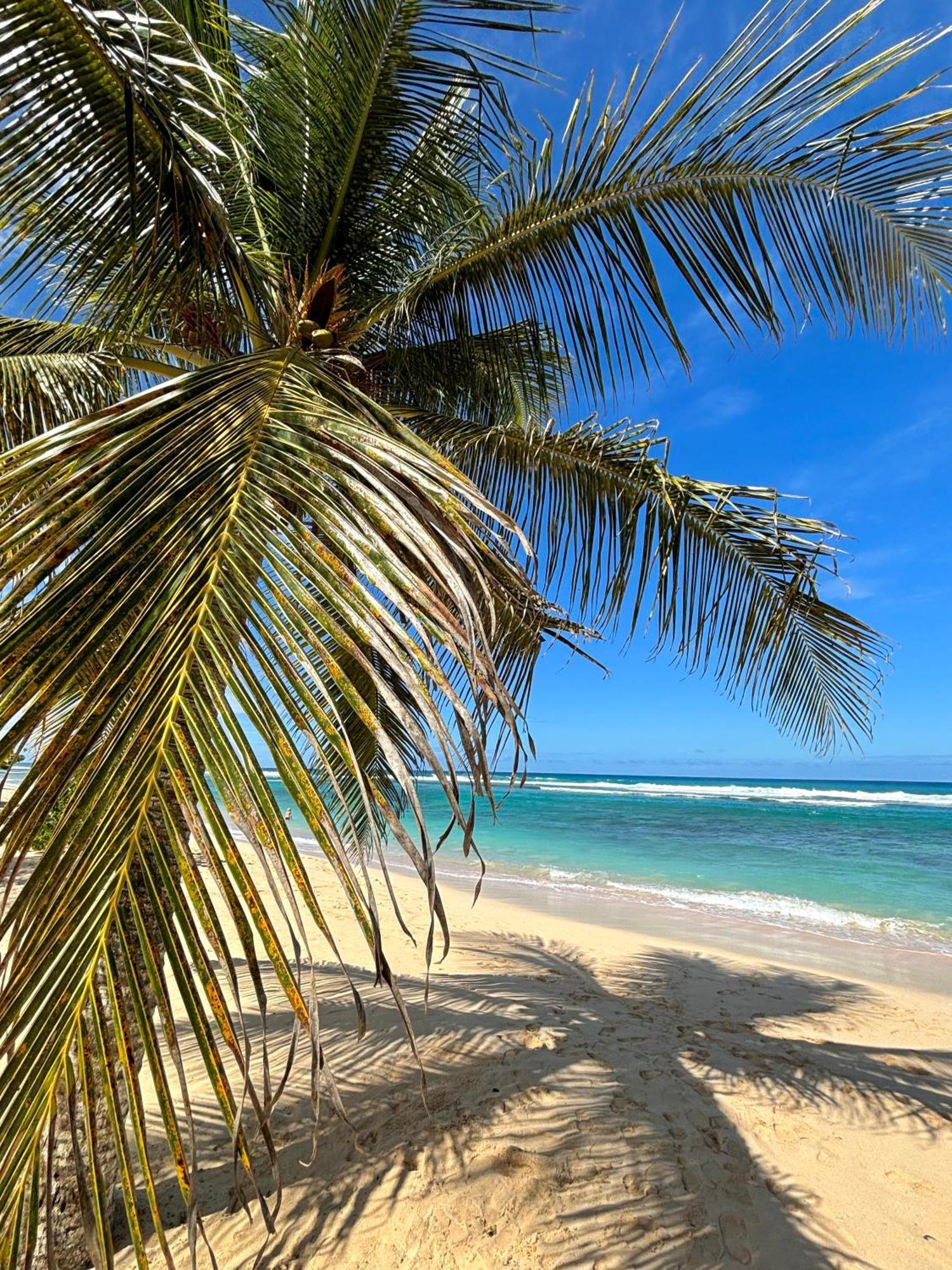 Lavann Wouj - Proche Des Plages Et Du Bourg Anse-Bertrand المظهر الخارجي الصورة